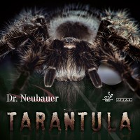 Dr.Neubauer Tarantula