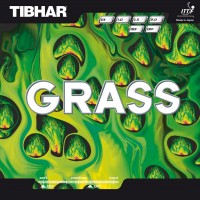 TIBHAR GRASS