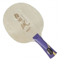 DHS Hurricane Sun Yingsha