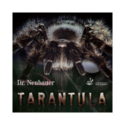 Dr.Neubauer Tarantula -  