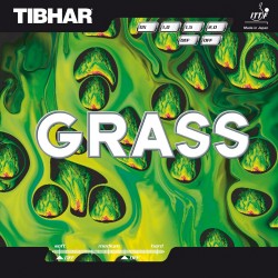 TIBHAR GRASS - збільшити зображення TIBHAR GRASS - збільшити зображення